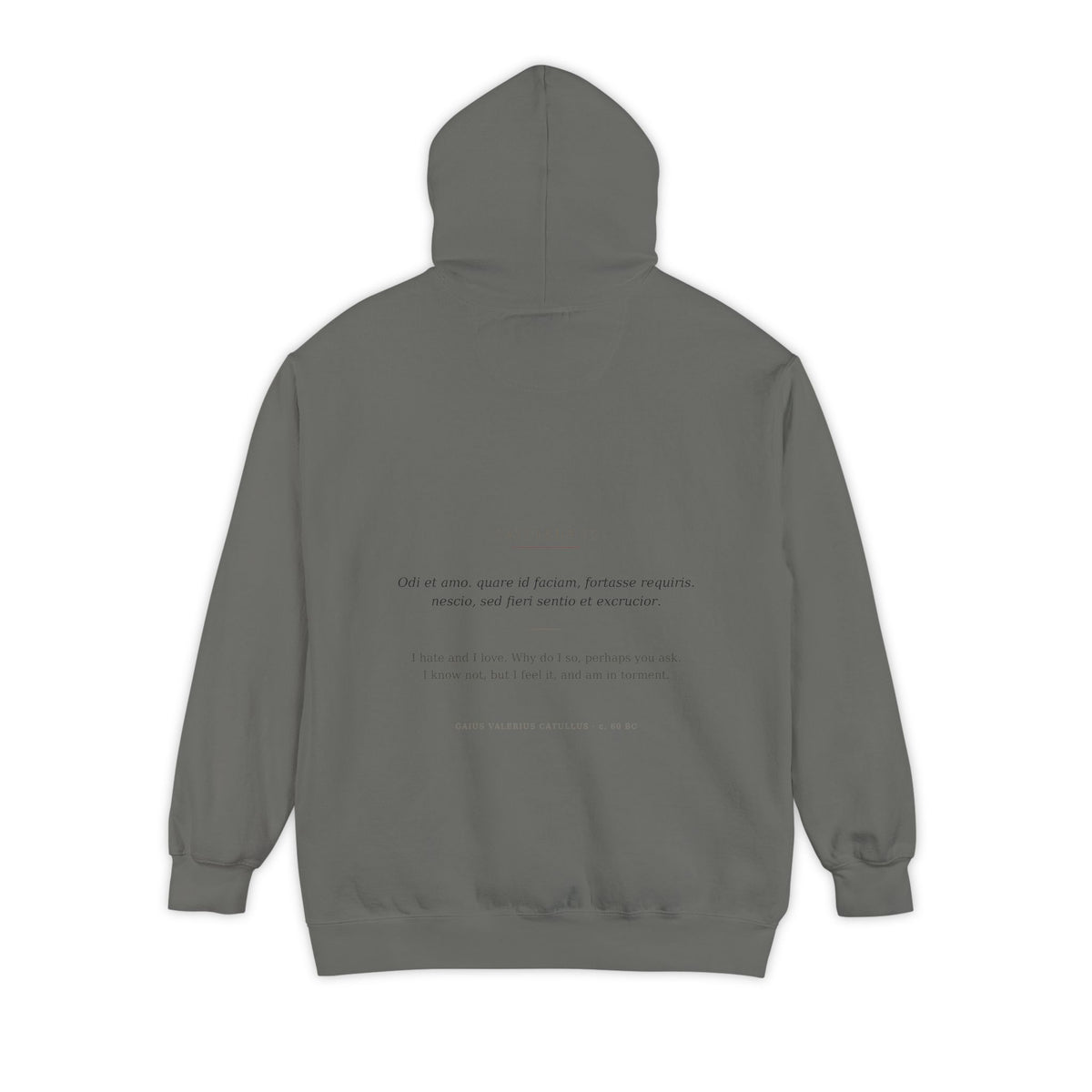 Odi et Amo Hoodie, Catullus Latin Poetry Hoodie, I Hate and I Love, Dark Academia, Classics Gift for Book Lovers, Latin on Back