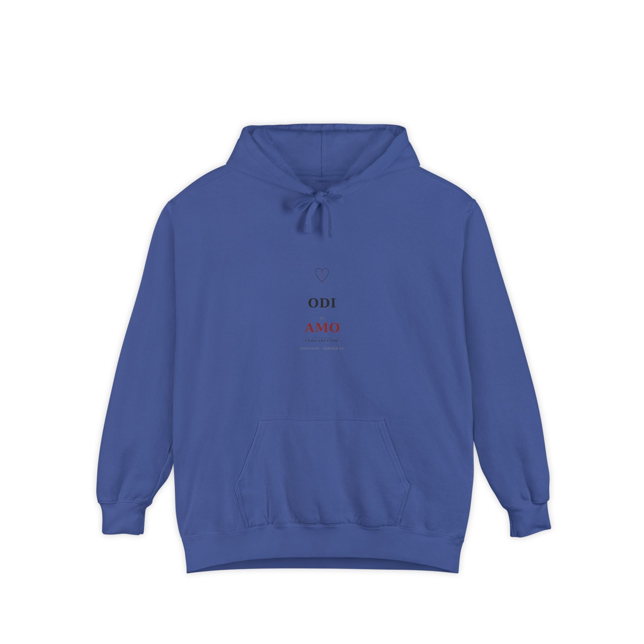 Odi et Amo Hoodie, Catullus Latin Poetry Hoodie, I Hate and I Love, Dark Academia, Classics Gift for Book Lovers, Latin on Back