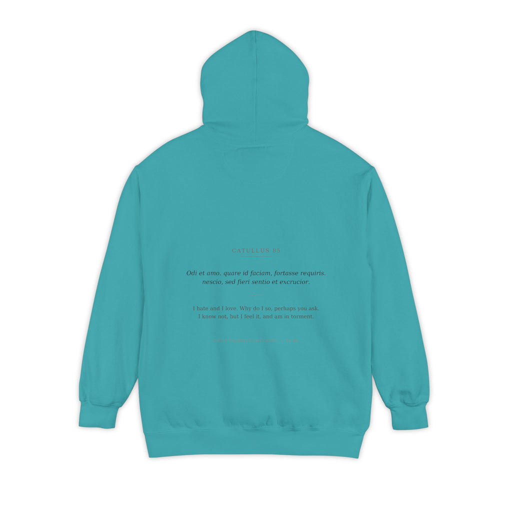 Odi et Amo Hoodie, Catullus Latin Poetry Hoodie, I Hate and I Love, Dark Academia, Classics Gift for Book Lovers, Latin on Back
