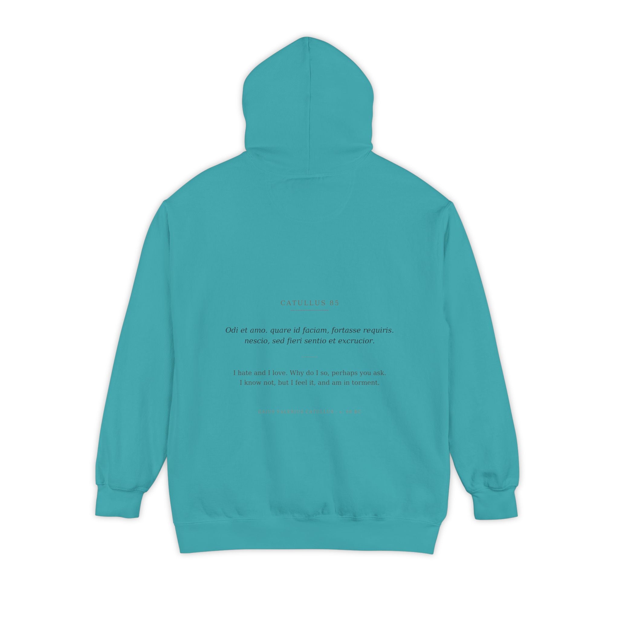 Odi et Amo Hoodie, Catullus Latin Poetry Hoodie, I Hate and I Love, Dark Academia, Classics Gift for Book Lovers, Latin on Back