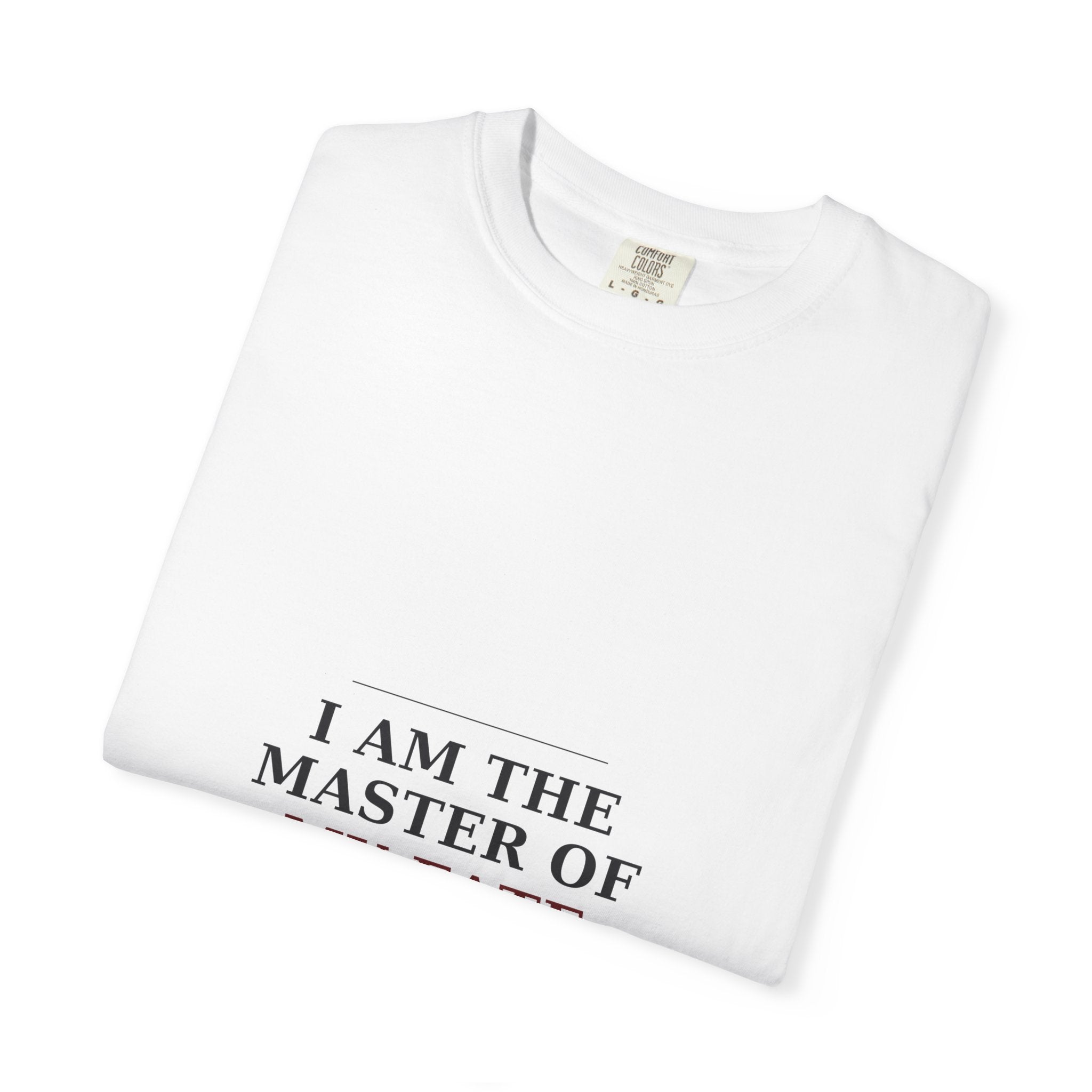 Invictus Tee — Henley | Palimpsest