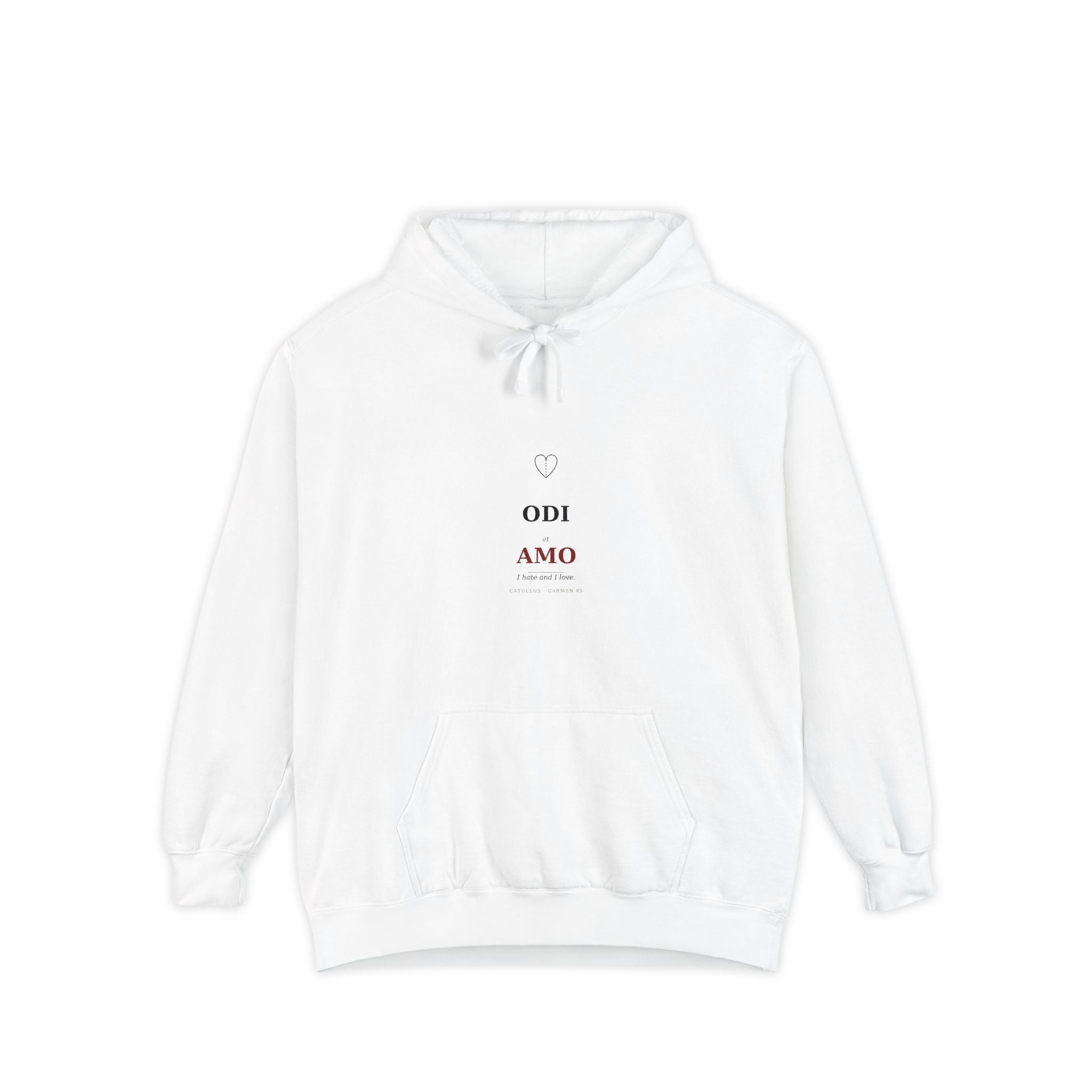 Odi et Amo Hoodie, Catullus Latin Poetry Hoodie, I Hate and I Love, Dark Academia, Classics Gift for Book Lovers, Latin on Back