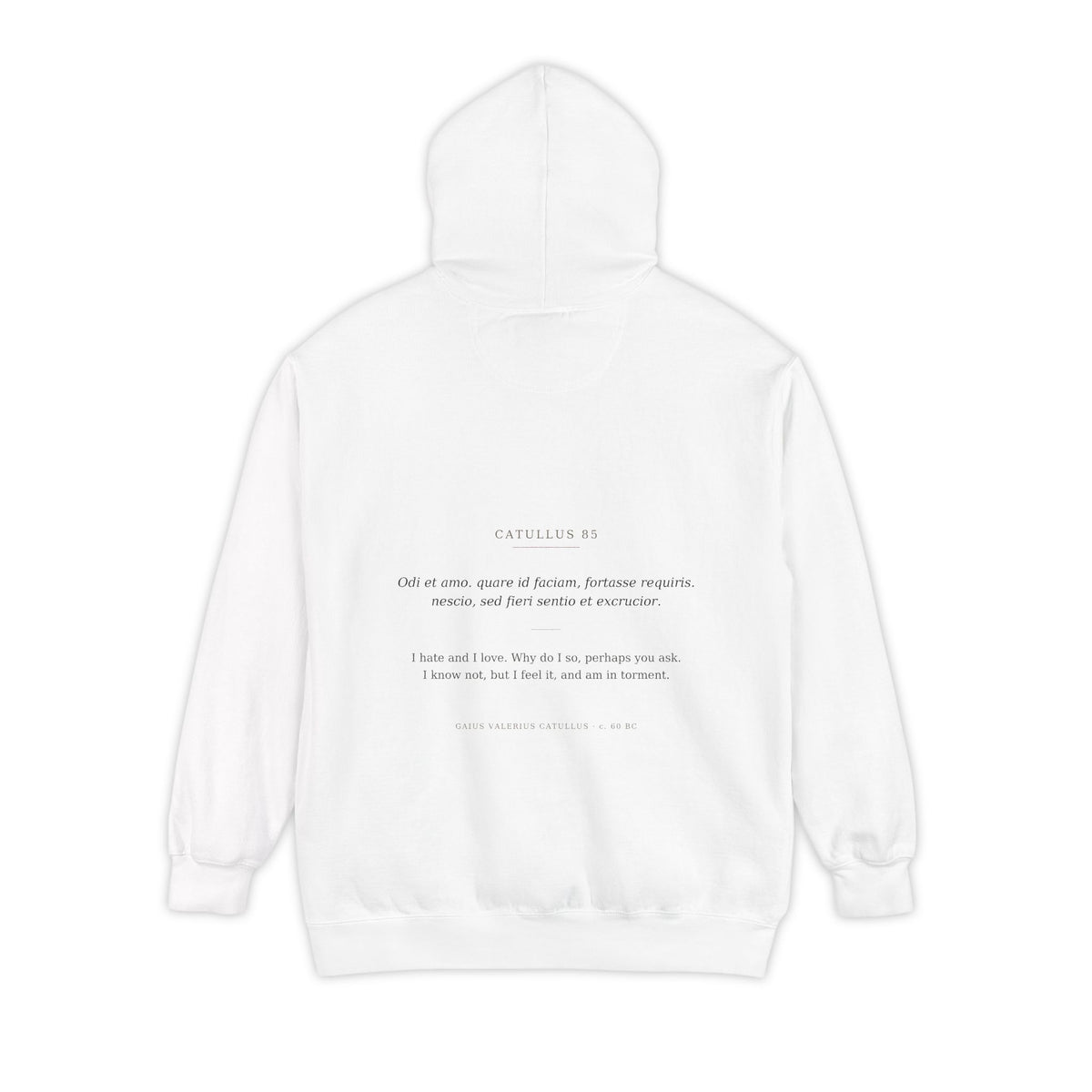 Odi et Amo Hoodie, Catullus Latin Poetry Hoodie, I Hate and I Love, Dark Academia, Classics Gift for Book Lovers, Latin on Back