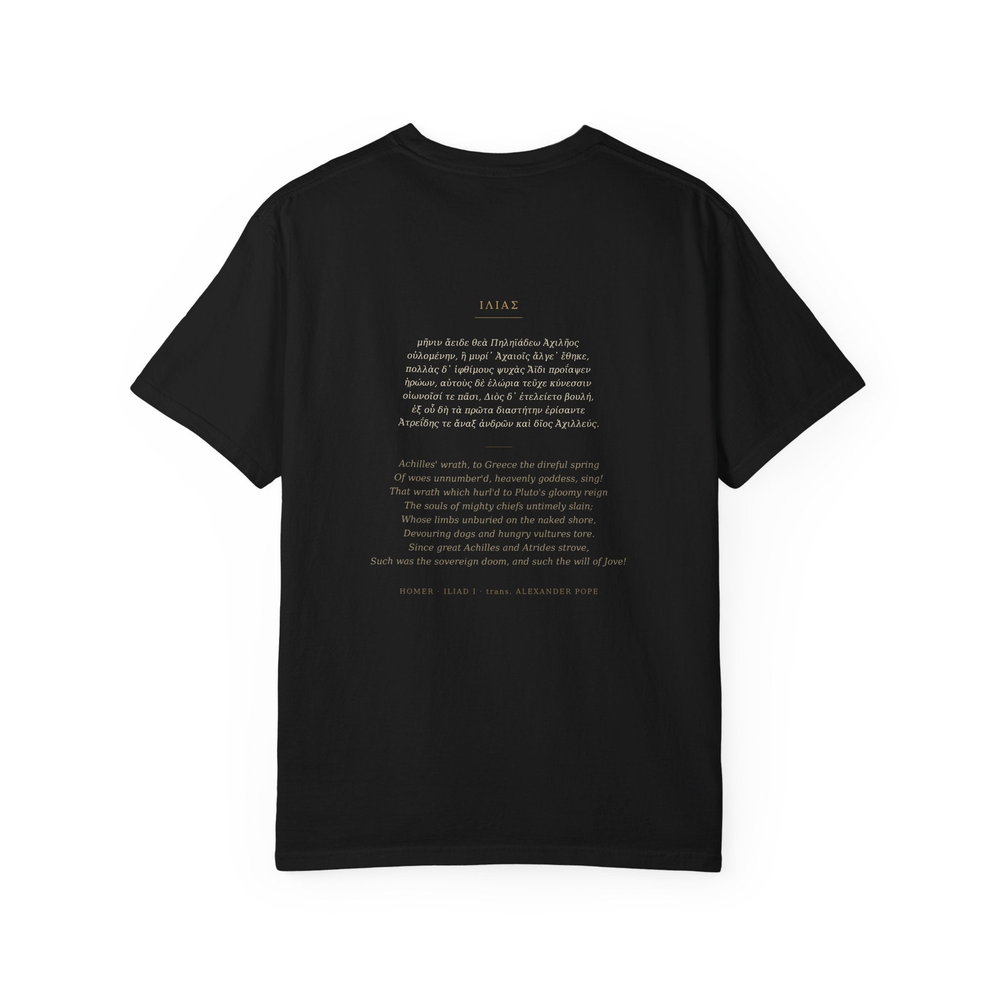 The Iliad T-Shirt — Homer Greek Poetry | Palimpsest