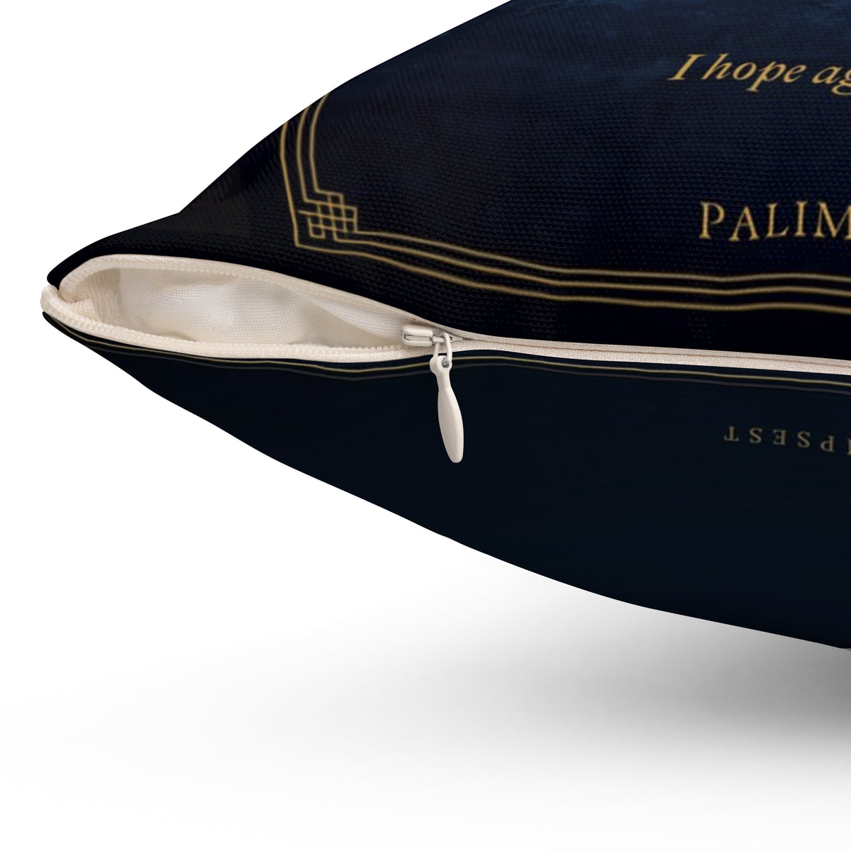 Contra Spem Spero Inspirational Literary Pillow