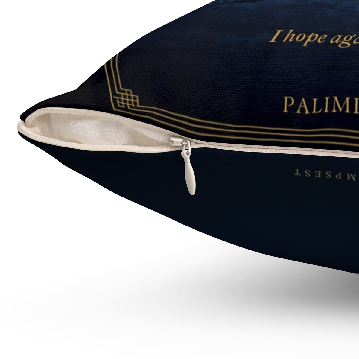 Contra Spem Spero Inspirational Literary Pillow