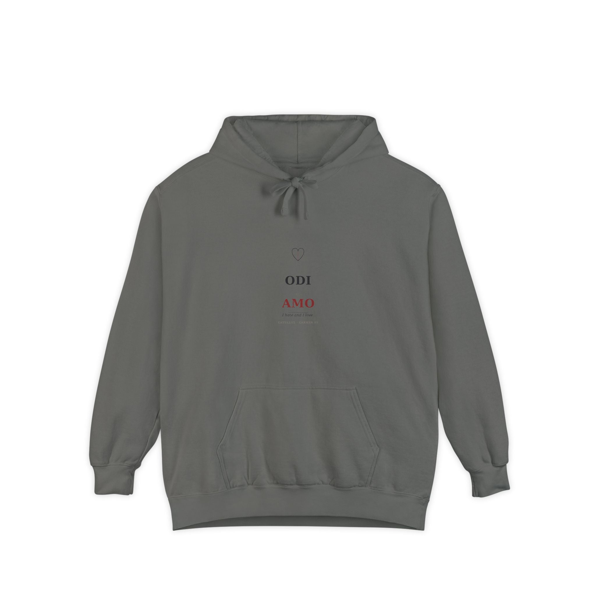 Odi et Amo Hoodie, Catullus Latin Poetry Hoodie, I Hate and I Love, Dark Academia, Classics Gift for Book Lovers, Latin on Back
