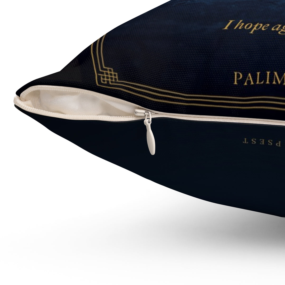 Contra Spem Spero Inspirational Literary Pillow