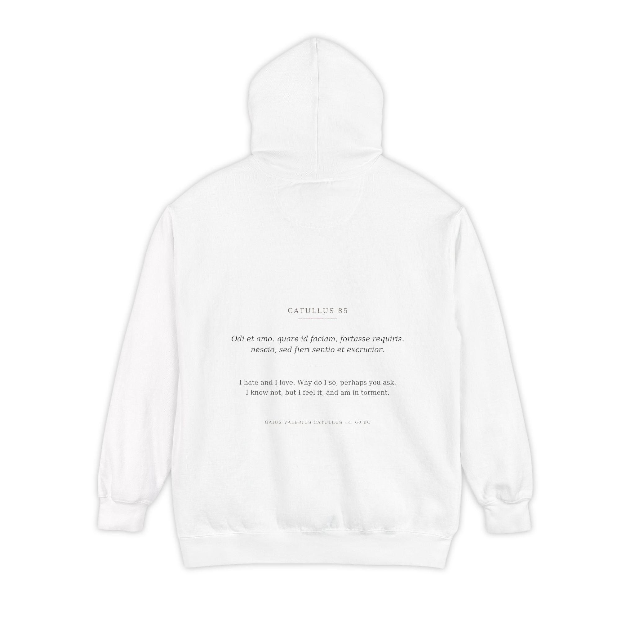 Odi et Amo Hoodie, Catullus Latin Poetry Hoodie, I Hate and I Love, Dark Academia, Classics Gift for Book Lovers, Latin on Back