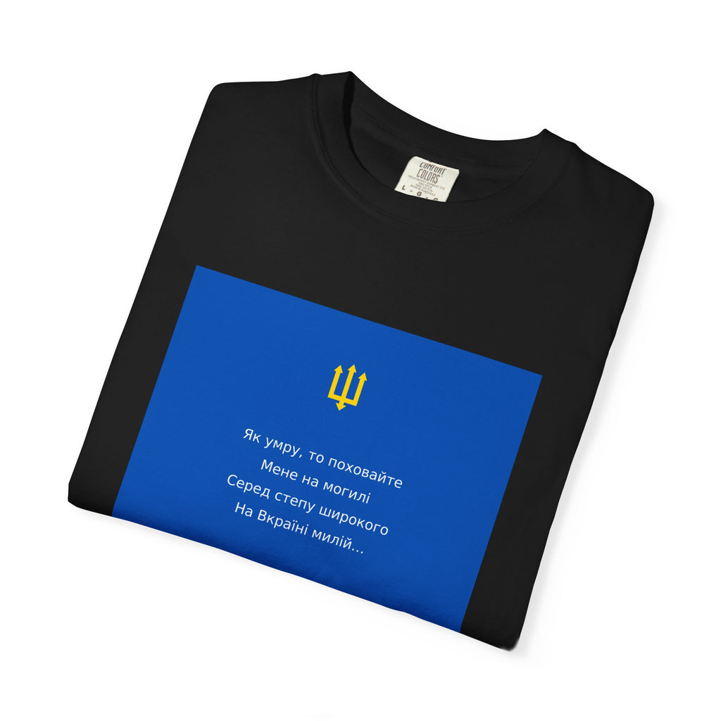 Zapovit Tee — Shevchenko's Testament | Palimpsest