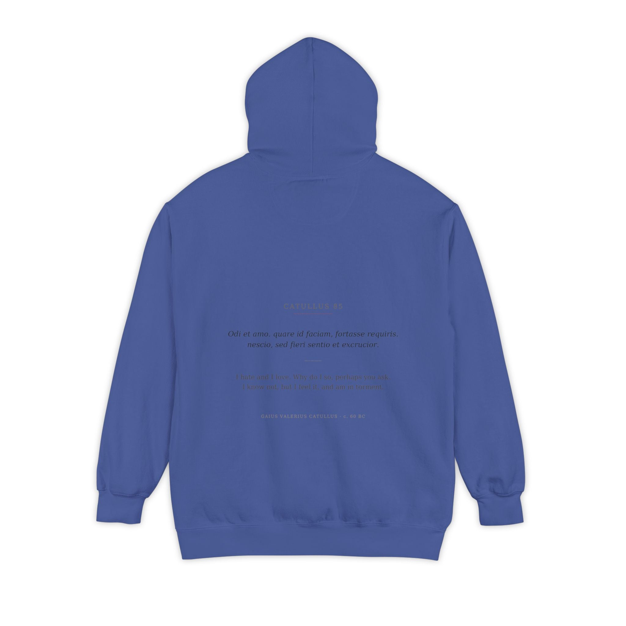 Odi et Amo Hoodie, Catullus Latin Poetry Hoodie, I Hate and I Love, Dark Academia, Classics Gift for Book Lovers, Latin on Back