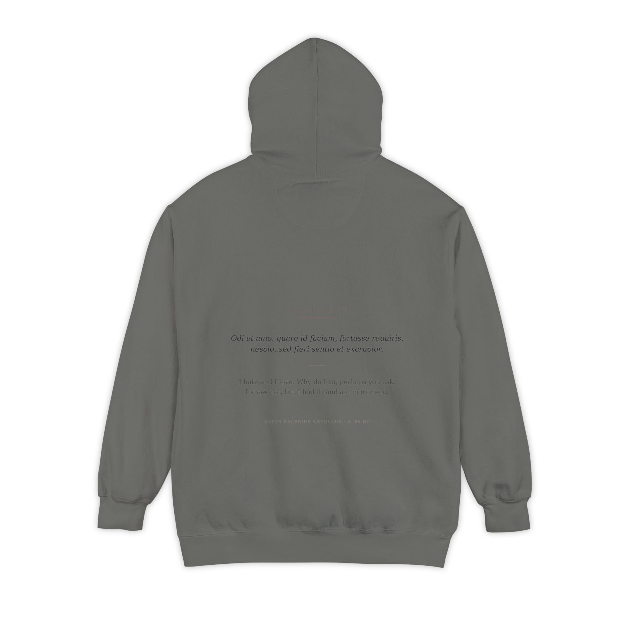 Odi et Amo Hoodie, Catullus Latin Poetry Hoodie, I Hate and I Love, Dark Academia, Classics Gift for Book Lovers, Latin on Back
