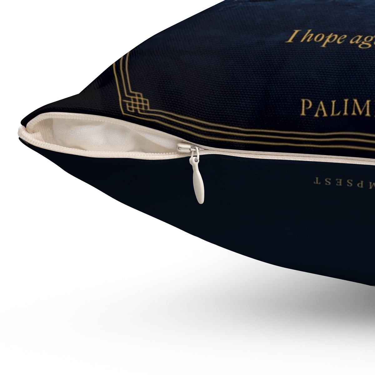 Contra Spem Spero Inspirational Literary Pillow