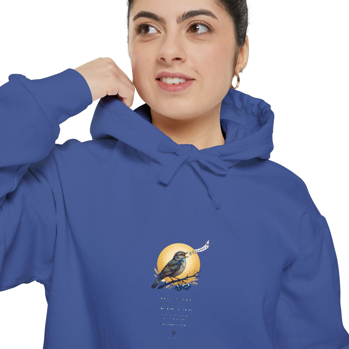 Close-up of the royal blue Chary Nochi hoodie print by Palimpsest — a nightingale perched against a gold moon