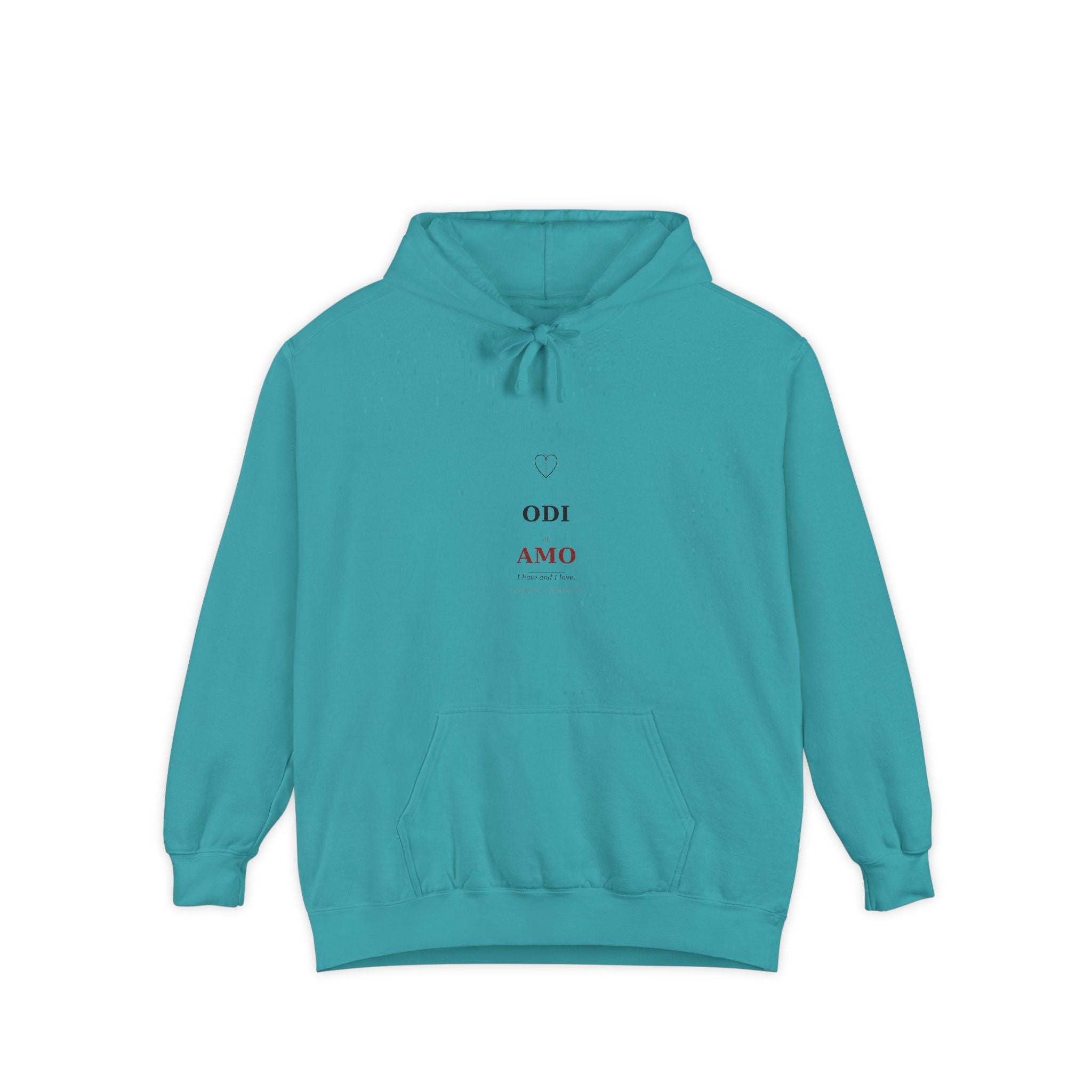 Odi et Amo Hoodie, Catullus Latin Poetry Hoodie, I Hate and I Love, Dark Academia, Classics Gift for Book Lovers, Latin on Back