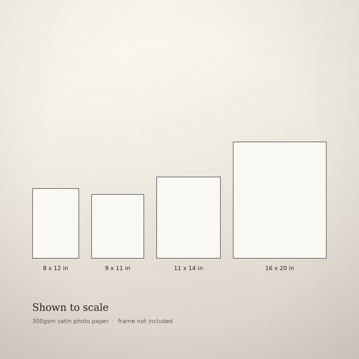 Size guide showing the four portrait sizes drawn to scale: 8 x 12, 9 x 11, 11 x 14 and 16 x 20 inches